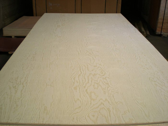 PlywoodChina Block Board, China Film Faced Plywood