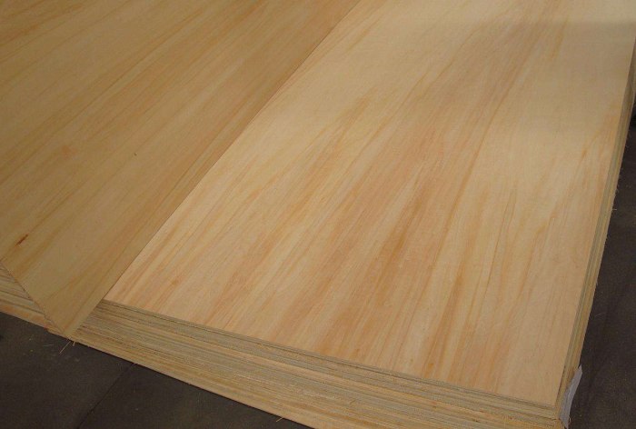 PlywoodChina Block Board, China Film Faced Plywood